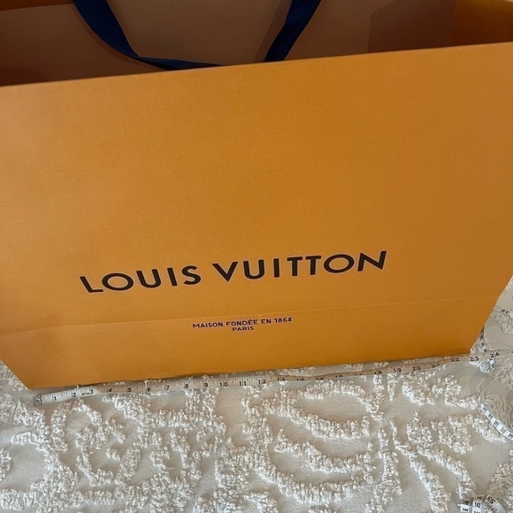 LOUIS Vuitton bag - Picture 3 of 5